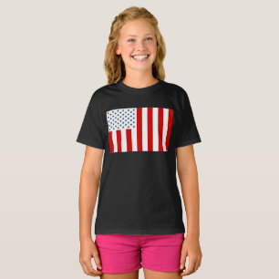 USA Civil Flag of Peacetime T-Shirt