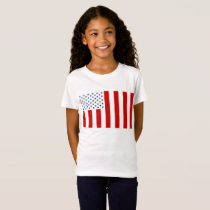 USA Civil Flag of Peacetime T-Shirt