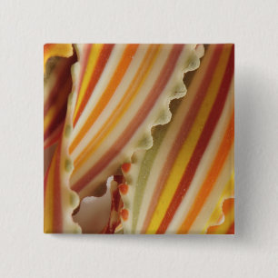USA. Close-up of dried rainbow pasta noodles. 15 Cm Square Badge