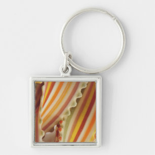 USA. Close-up of dried rainbow pasta noodles. Key Ring