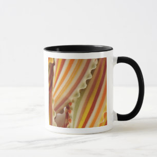 USA. Close-up of dried rainbow pasta noodles. Mug