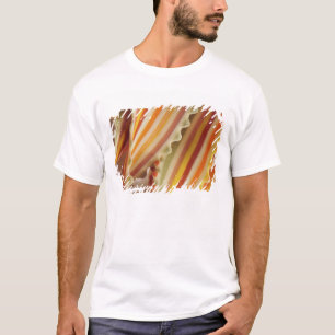 USA. Close-up of dried rainbow pasta noodles. T-Shirt