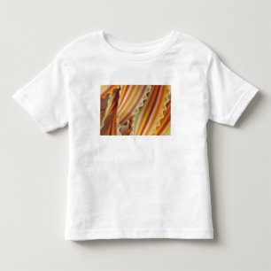USA. Close-up of dried rainbow pasta noodles. Toddler T-Shirt