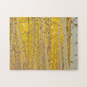 USA, Colorado. Aspens In Gunnison National Jigsaw Puzzle