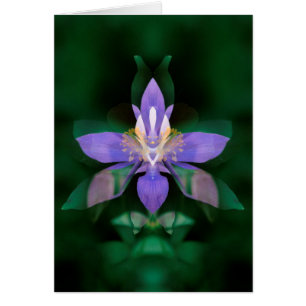 USA, Colorado, Boulder County