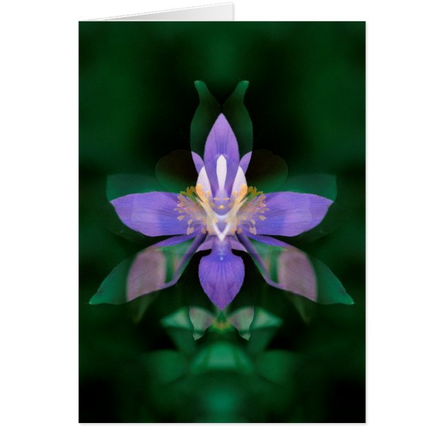 USA, Colorado, Boulder County (Front)