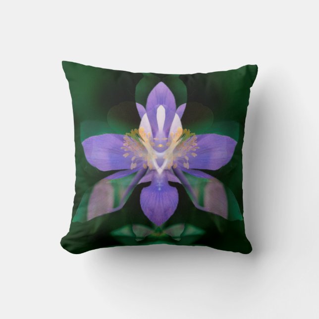 USA, Colorado, Boulder County Cushion (Front)