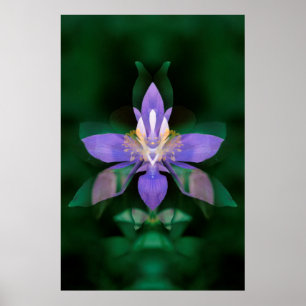 USA, Colorado, Boulder County Poster