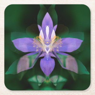 USA, Colorado, Boulder County Square Paper Coaster