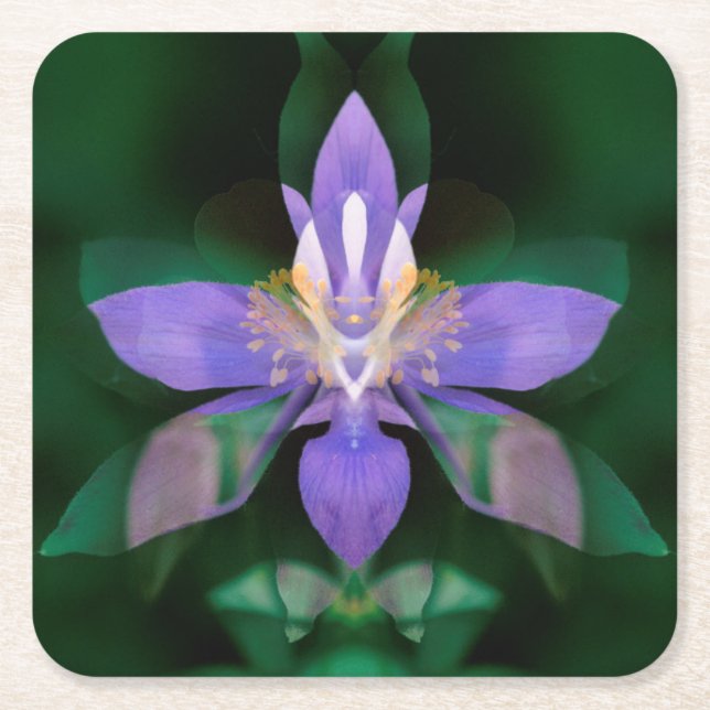 USA, Colorado, Boulder County Square Paper Coaster (Front)
