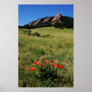 USA, Colorado, Boulder. Flatirons and poppies Poster