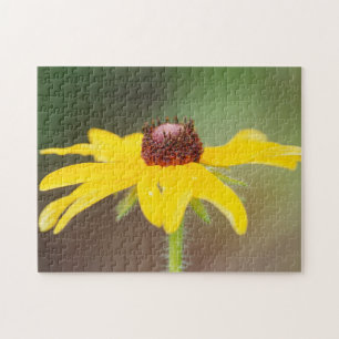 USA, Colorado, Boulder. Sunflower close-up Jigsaw Puzzle