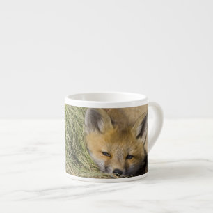 USA, Colorado, Breckenridge. Alert red fox Espresso Cup
