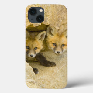 USA, Colorado, Breckenridge. Curious red fox iPhone 13 Case