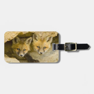 USA, Colorado, Breckenridge. Curious red fox Luggage Tag