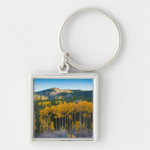 USA, Colorado. Bright Yellow Aspens in Rockies Key Ring