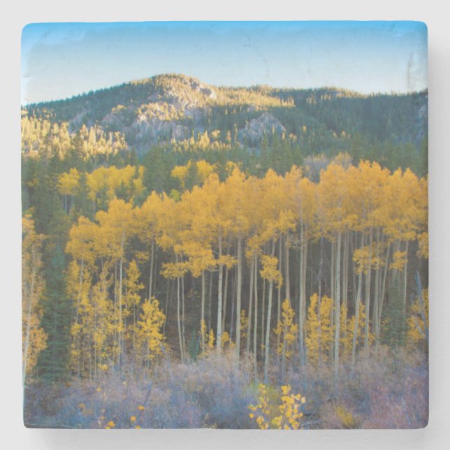 USA, Colorado. Bright Yellow Aspens in Rockies Stone Coaster (Front)
