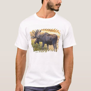 USA, Colorado, Cameron Pass. Bull moose T-Shirt