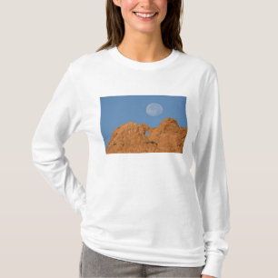 USA, Colorado, Colorado Springs, Garden of the 2 T-Shirt