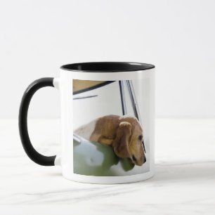 USA, Colorado, dog looking through car window Mug