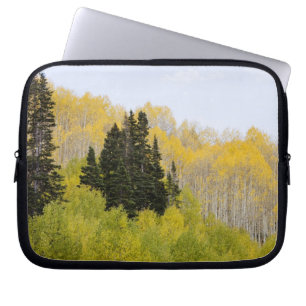 USA, Colorado, Gunnison National Forest, along 2 Laptop Sleeve