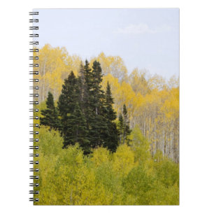 USA, Colorado, Gunnison National Forest, along 2 Spiral Notebook