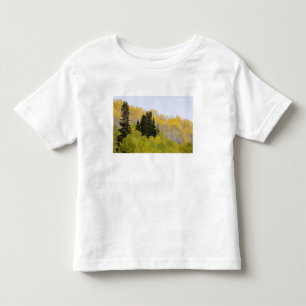 USA, Colorado, Gunnison National Forest, along 2 Toddler T-Shirt