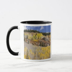 USA, Colorado, Gunnison National Forest, along Mug