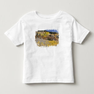 USA, Colorado, Gunnison National Forest, along Toddler T-Shirt