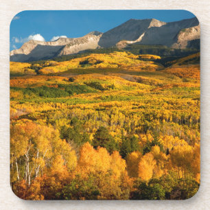 USA, Colorado, Gunnison National Forest Coaster