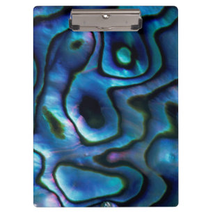 USA, Colorado, Lafayette. Abalone shell Clipboard