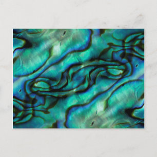 USA, Colorado, Lafayette. Abalone shell montage Postcard