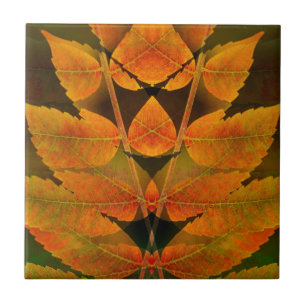 USA, Colorado, Lafayette. Autumn sumac montage Tile