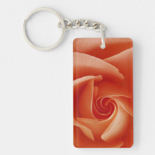 USA, Colorado, Lafayette. Peach rose close-up Key Ring