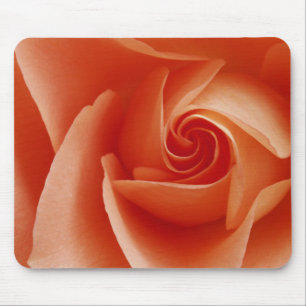 USA, Colorado, Lafayette. Peach rose close-up Mouse Pad