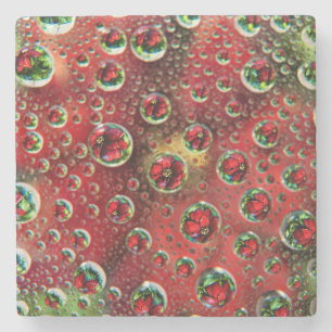 USA, Colorado, Lafayette. Water bubbles on glass 3 Stone Coaster