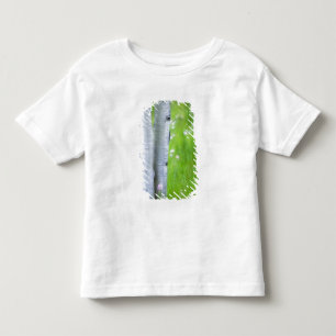 USA, Colorado, Lake City, Aspens and Toddler T-Shirt