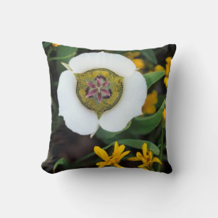 USA, Colorado. Mariposa tulip Cushion