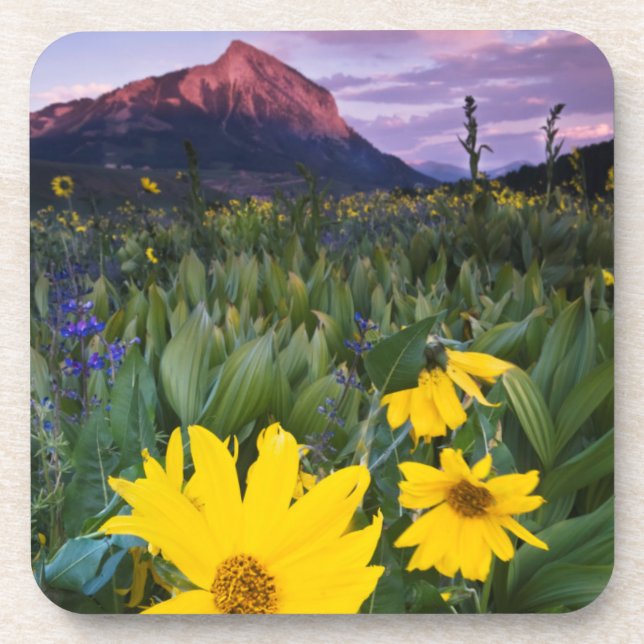 USA, Colorado, Mt. Crested Butte Coaster (Front)
