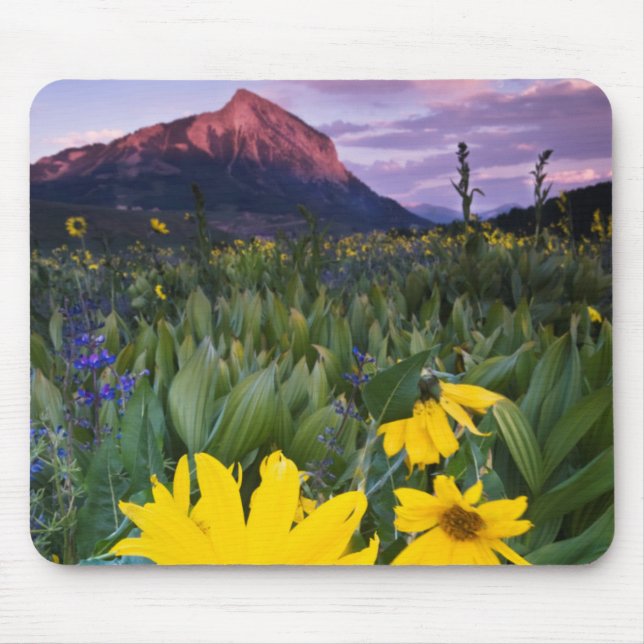 USA, Colorado, Mt. Crested Butte Mouse Pad (Front)