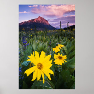 USA, Colorado, Mt. Crested Butte Poster