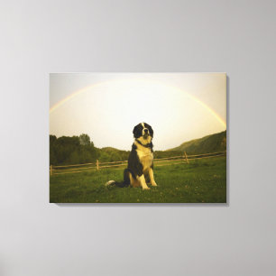 USA, Colorado, New Castle Canvas Print