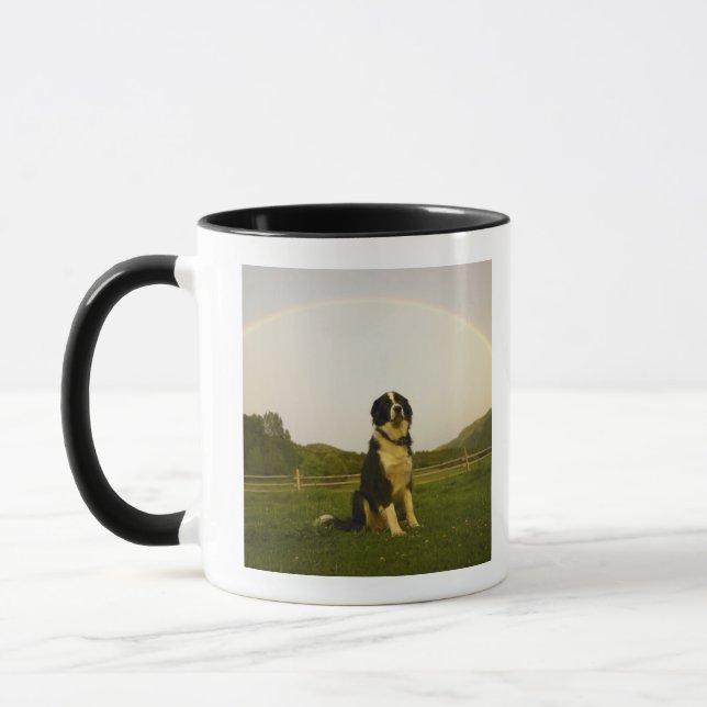 USA, Colorado, New Castle Mug (Left)
