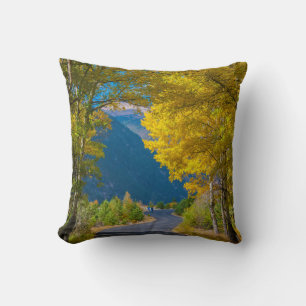 USA, Colorado. Road Flanked By Aspens Cushion