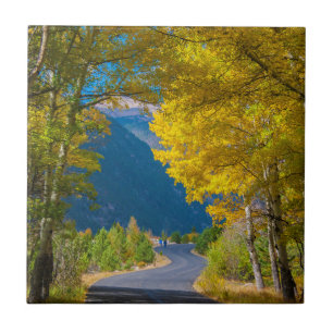 USA, Colorado. Road Flanked By Aspens Tile