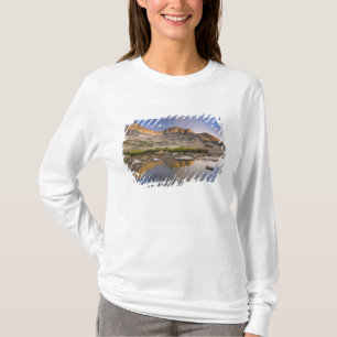 USA, Colorado, Rocky Mountain NP. Storm clouds T-Shirt