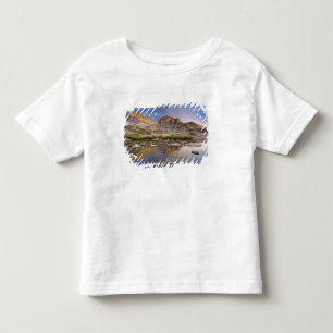 USA, Colorado, Rocky Mountain NP. Storm clouds Toddler T-Shirt