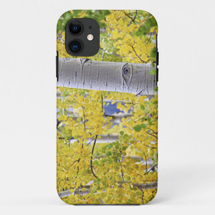 USA, Colorado, Rocky Mountains. Intimate aspen 2 iPhone 11 Case