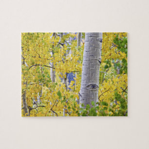 USA, Colorado, Rocky Mountains.  Intimate aspen 2 Jigsaw Puzzle