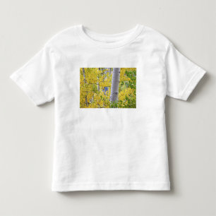 USA, Colorado, Rocky Mountains. Intimate aspen 2 Toddler T-Shirt